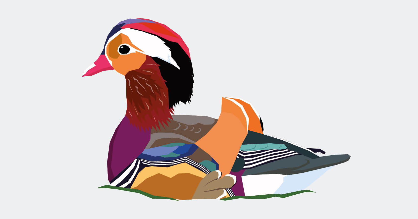 Birds of the World project illustration of a swimming Mandarin duck by Swaddle Creative